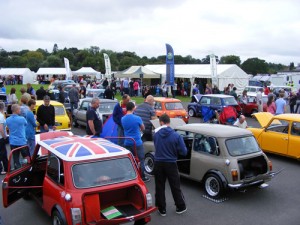 mf2013-image-300x225